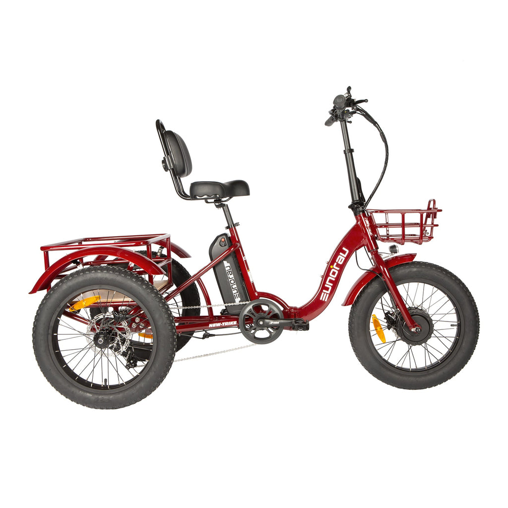 NEW-TRIKE 2.0 - Ridoza