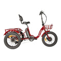 NEW-TRIKE 2.0 - Ridoza