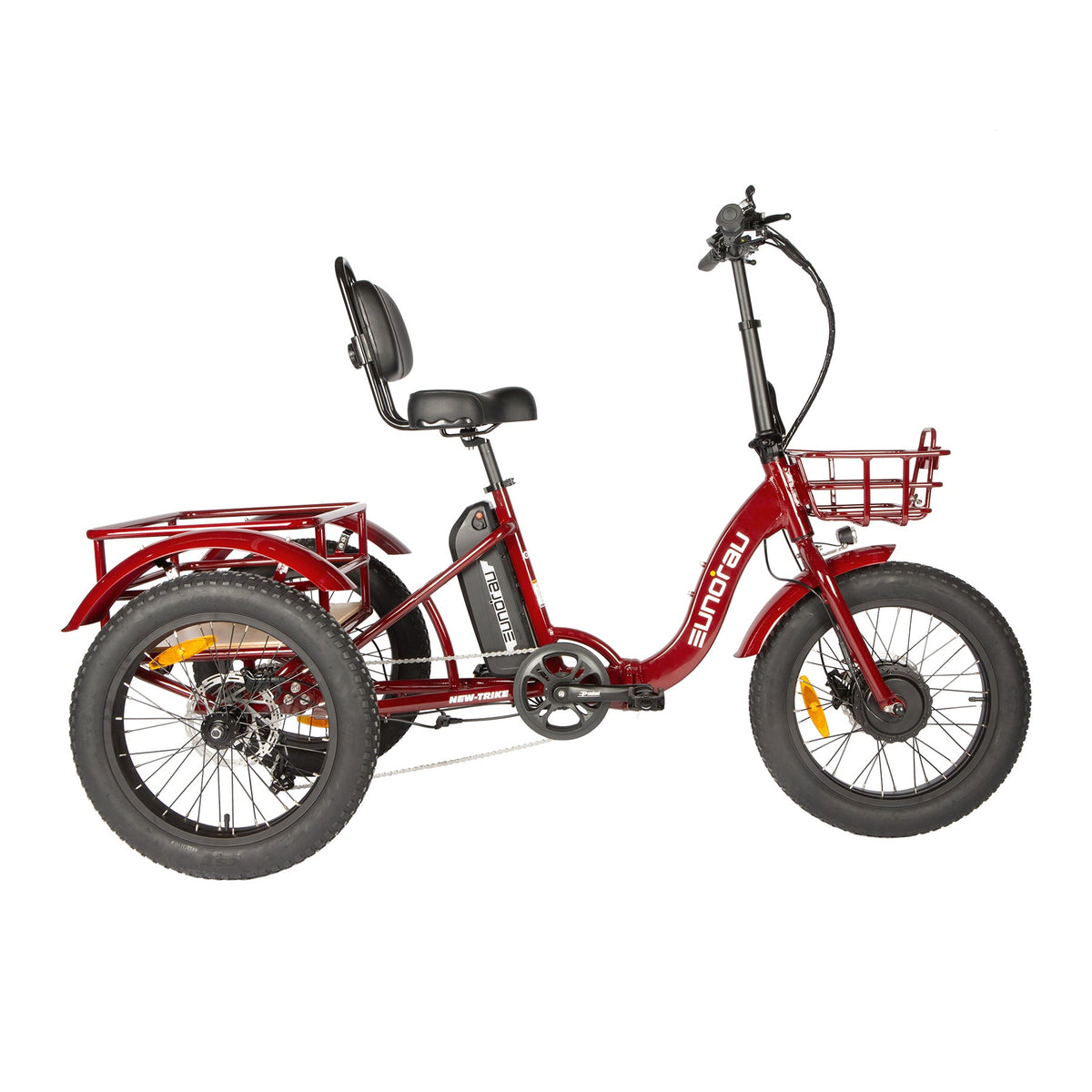 NEW-TRIKE 2.0 - Ridoza
