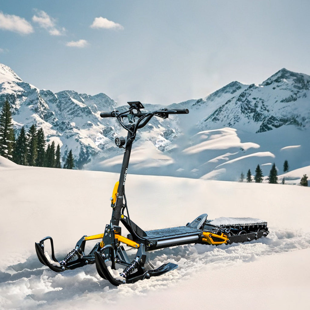 ICEX 1.0 - Ridoza