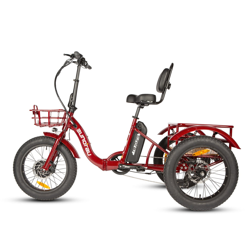 NEW-TRIKE 2.0 - Ridoza