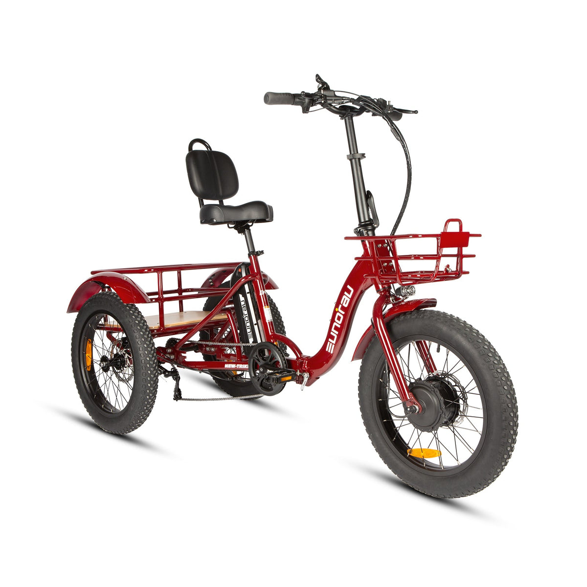 NEW-TRIKE 2.0 - Ridoza