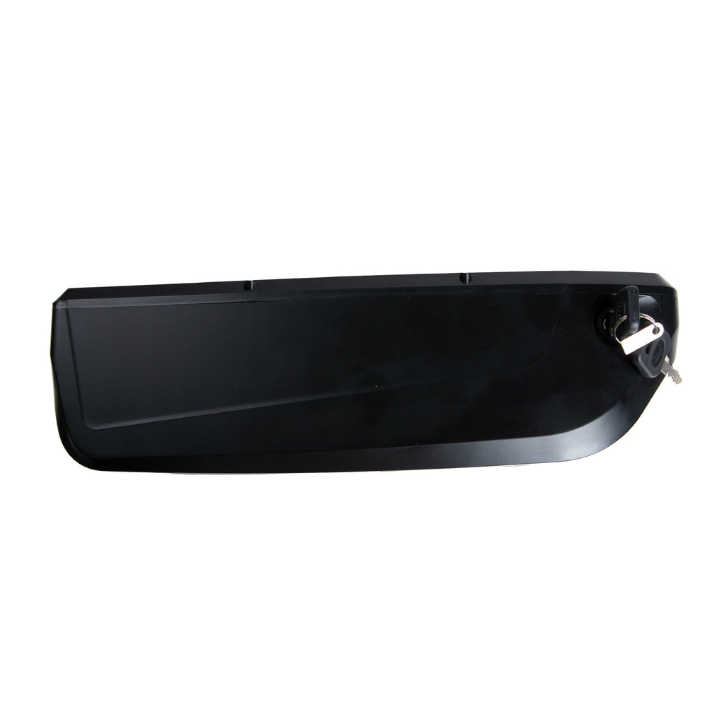 EUNORAU NEW-TRIKE/ONE-TRIKE Battery - Ridoza