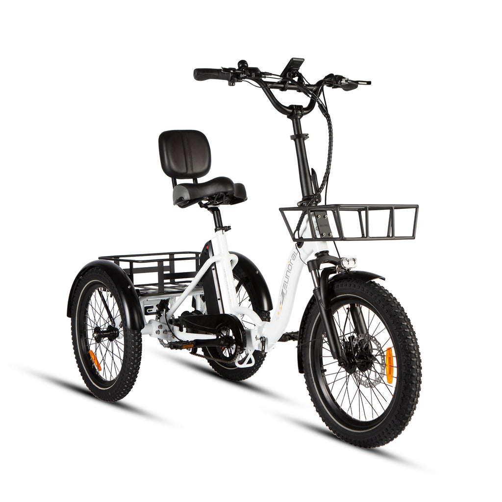 ONE-TRIKE 2.0 - Ridoza