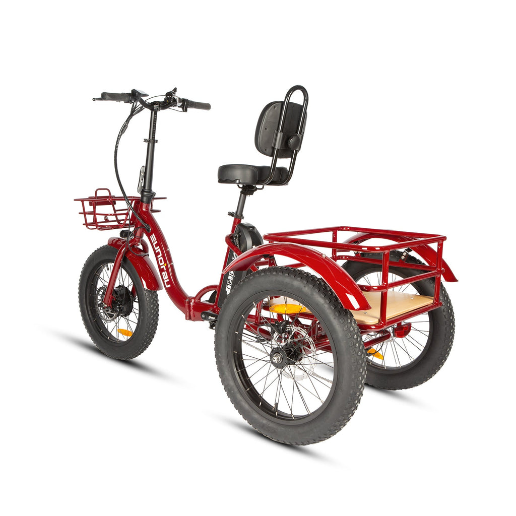 NEW-TRIKE 2.0 - Ridoza