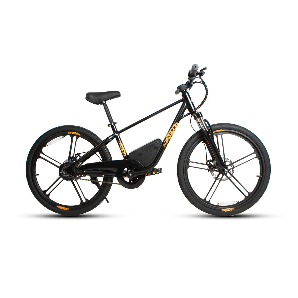EKIDS24 1.0 - Ridoza