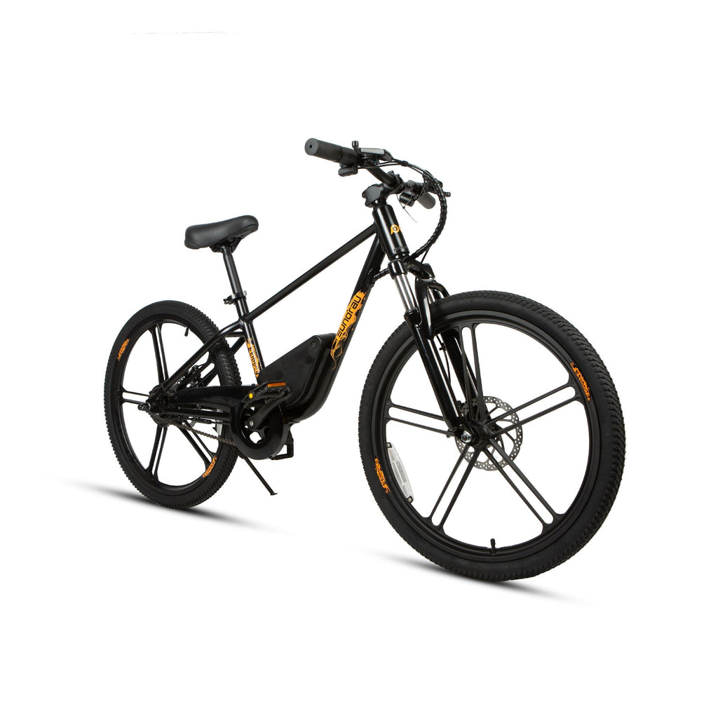 EKIDS24 1.0 - Ridoza