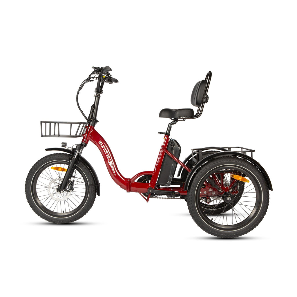 ONE-TRIKE 2.0 - Ridoza