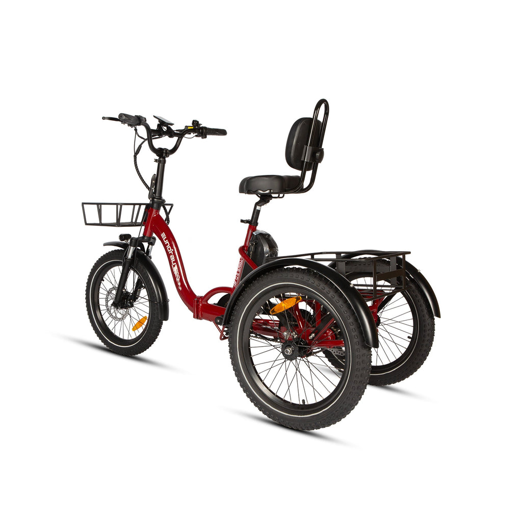 ONE-TRIKE 2.0 - Ridoza