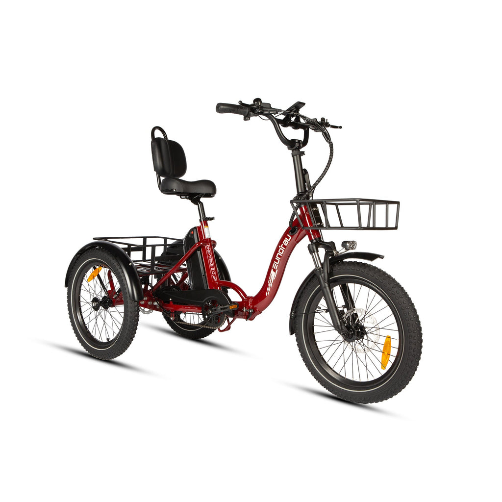 ONE-TRIKE 2.0 - Ridoza