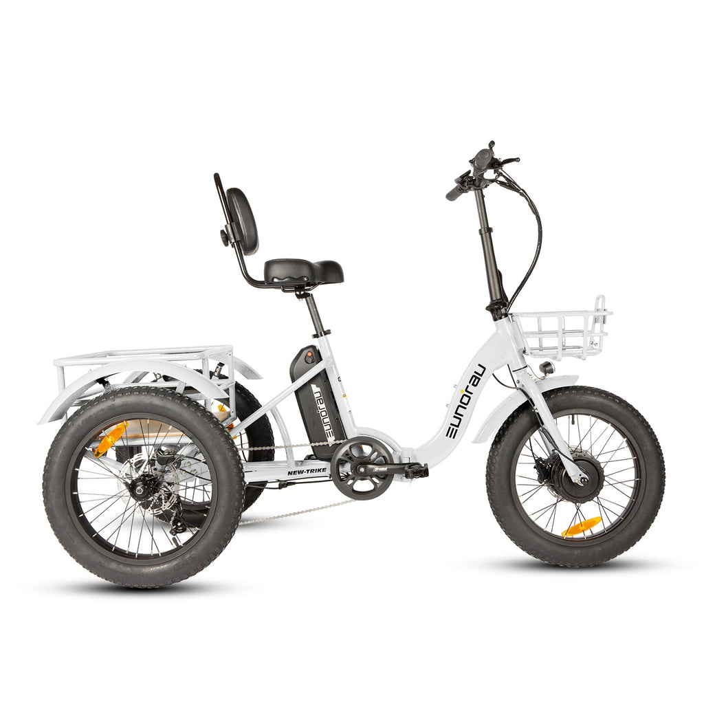 NEW-TRIKE 2.0 - Ridoza