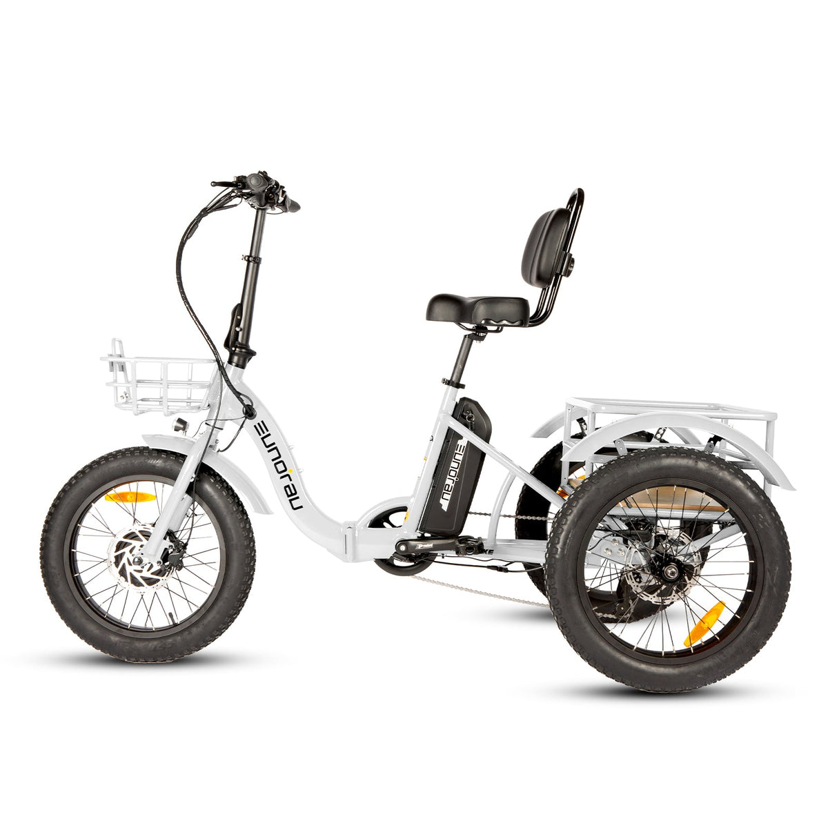 NEW-TRIKE 2.0 - Ridoza