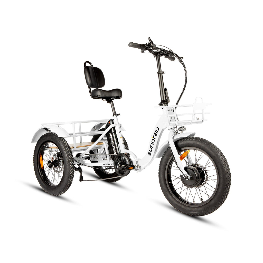 NEW-TRIKE 2.0 - Ridoza