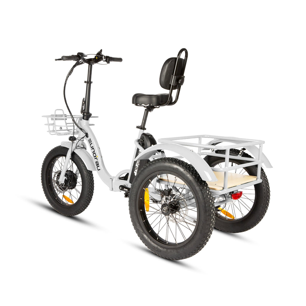 NEW-TRIKE 2.0 - Ridoza