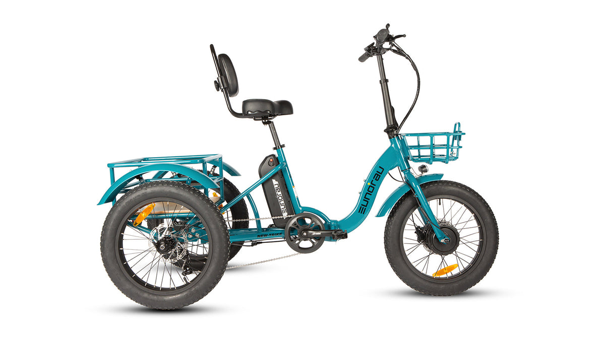 NEW-TRIKE 2.0 - Ridoza