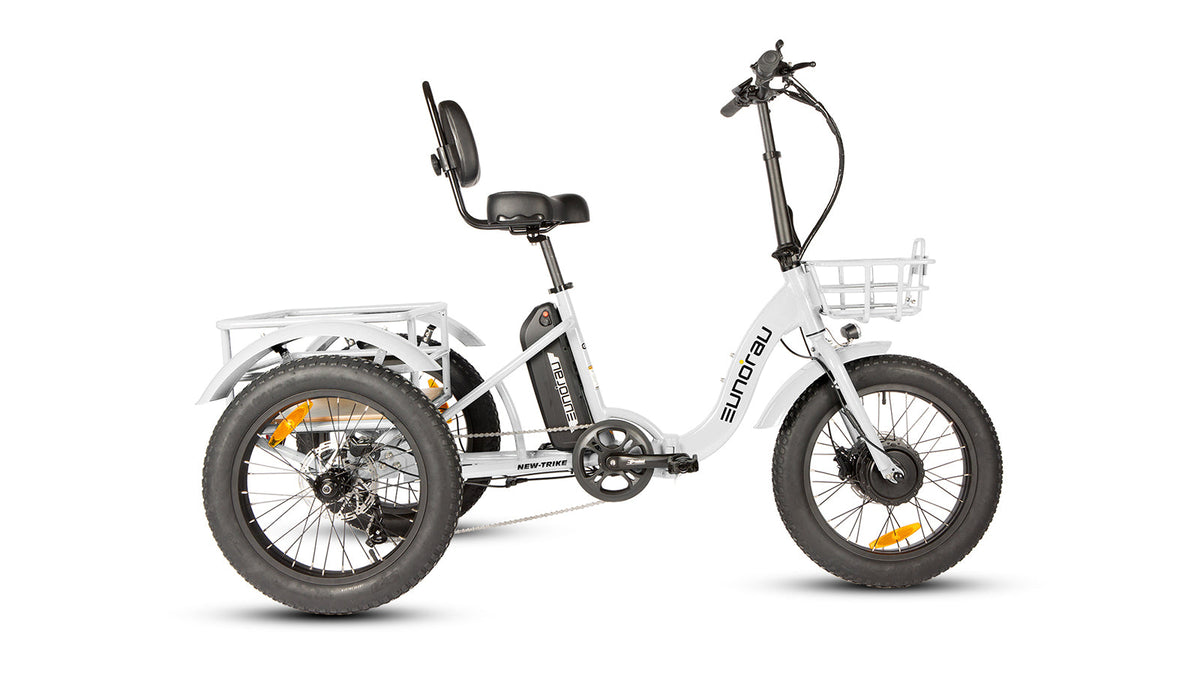 NEW-TRIKE 2.0 - Ridoza
