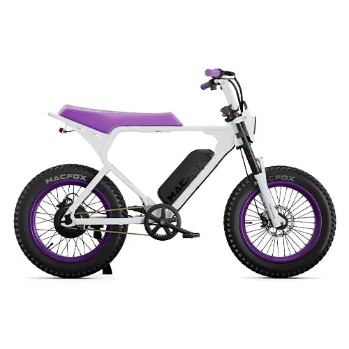 Macfox X1S x Bs.zay Limited-Edition E-Bike