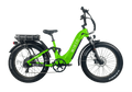WIRED Cruiser Step-Through Long-Range E-Bike