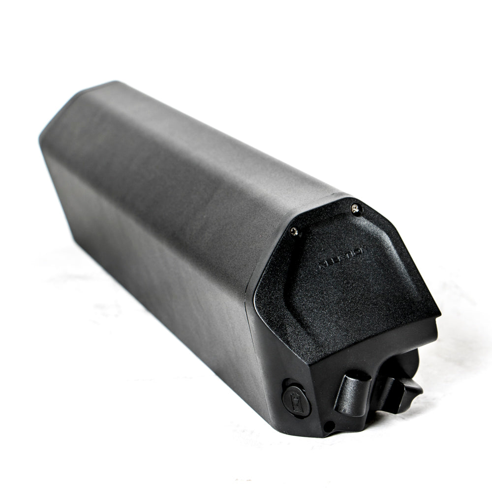 EUNORAU 48V25AH Reention Dorado ID-MAX Case Battery - Ridoza