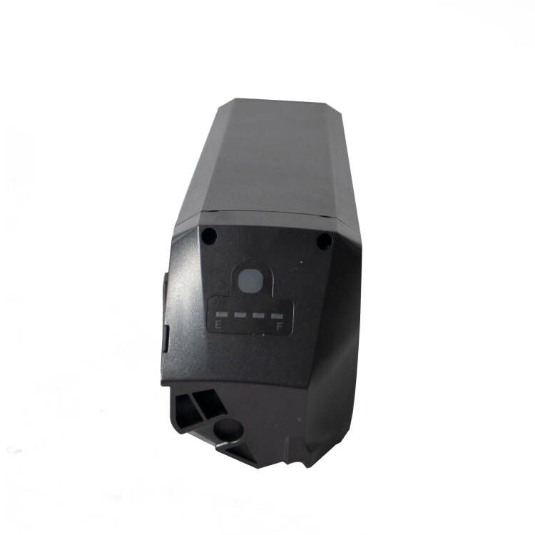 EUNORAU MAX/G20/30 Cargo Bike Battery - Ridoza
