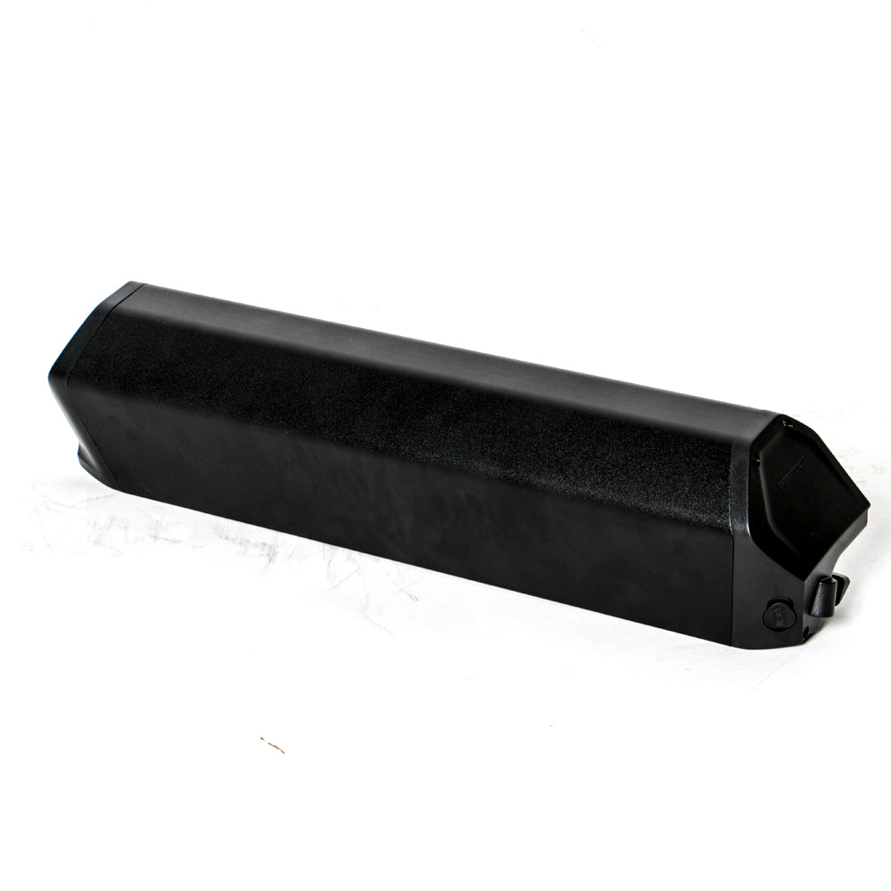 EUNORAU 48V25AH Reention Dorado ID-MAX Case Battery - Ridoza