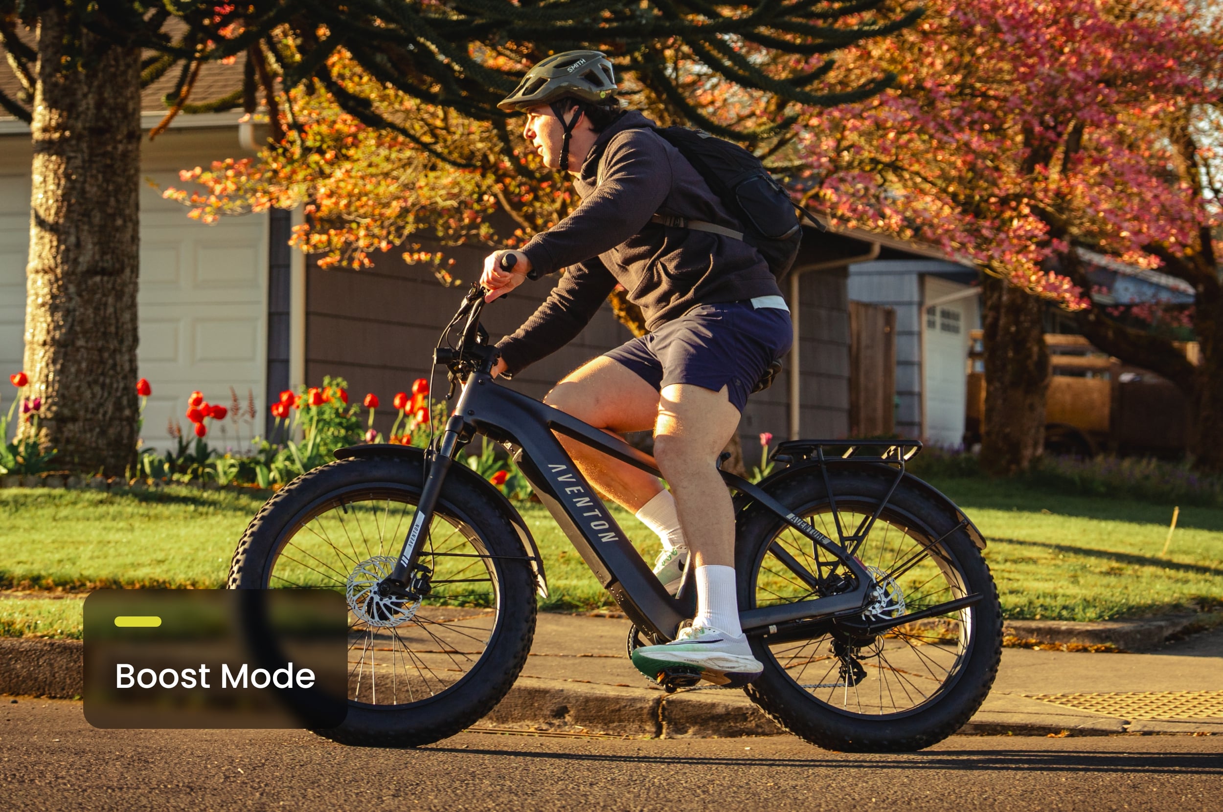 Aventon Aventure 3 Step-Through Fat-Tire E-Bike