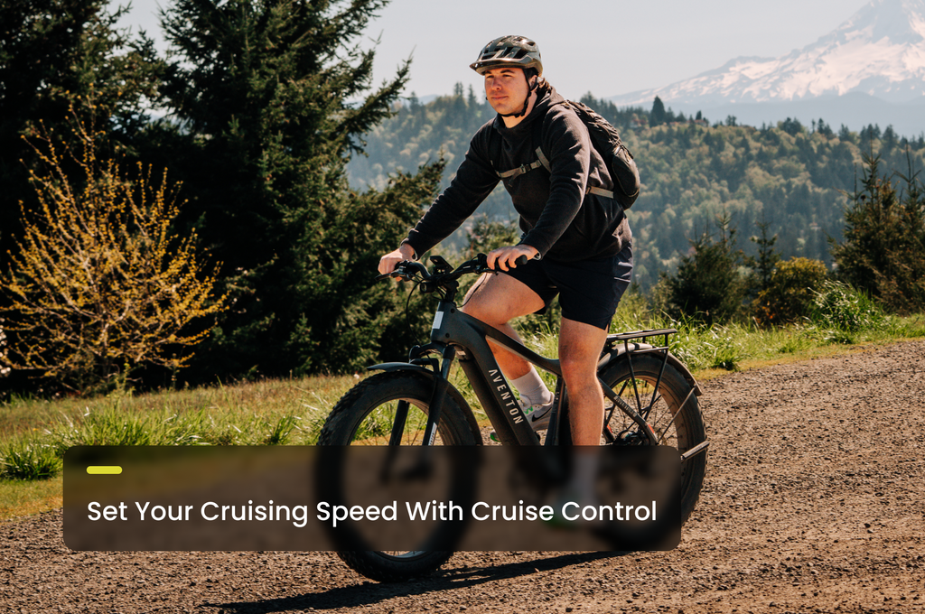 Aventon Aventure 3 Fat-Tire Electric Bike