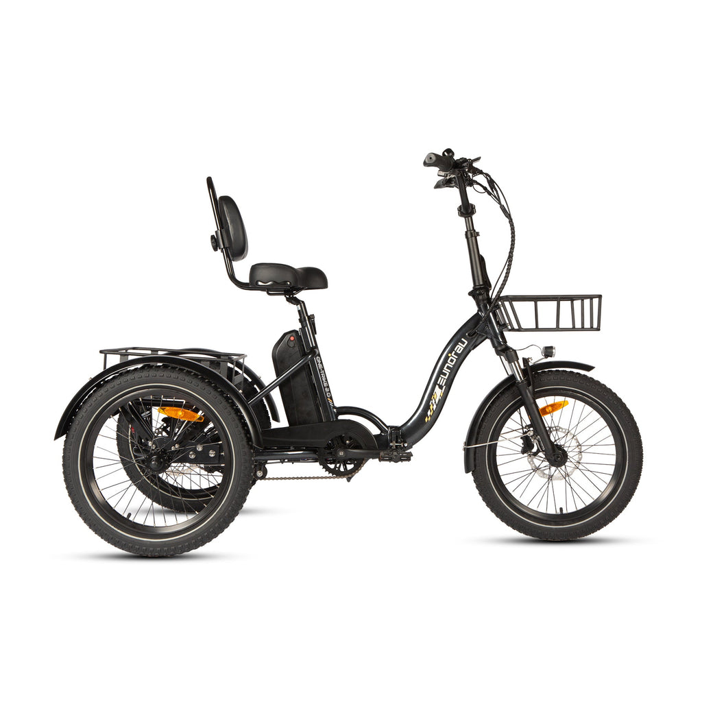 ONE-TRIKE 2.0 - Ridoza