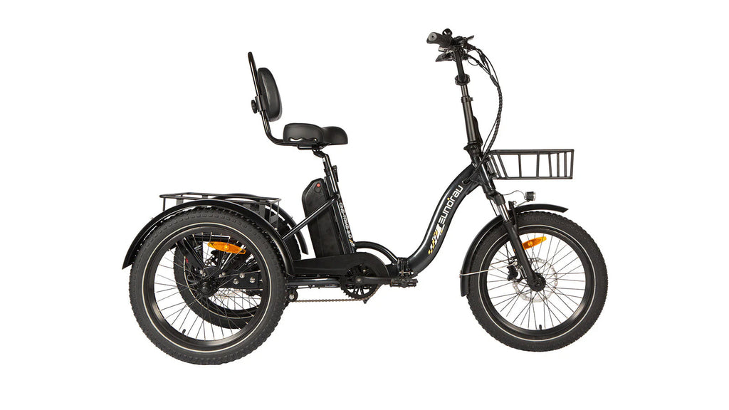 ONE-TRIKE 2.0 - Ridoza