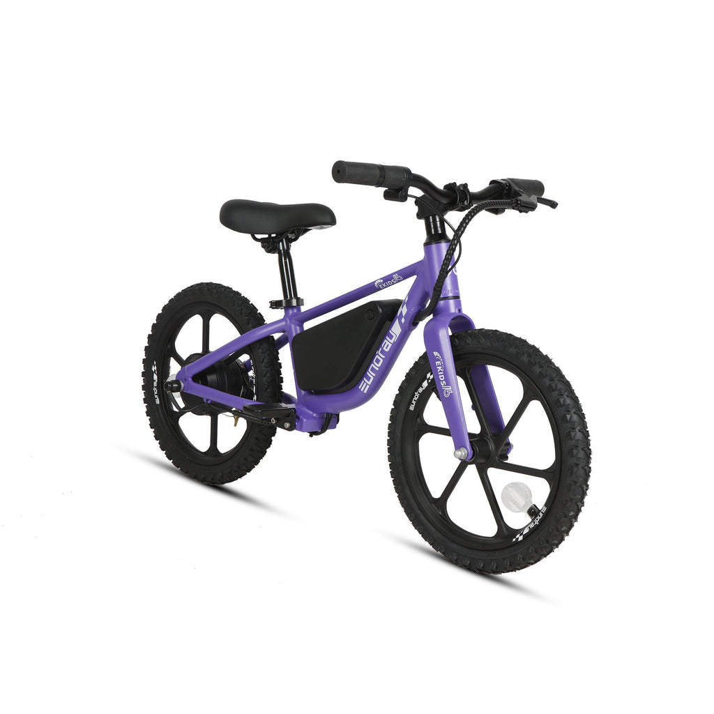 EKIDS16 1.0 - Ridoza