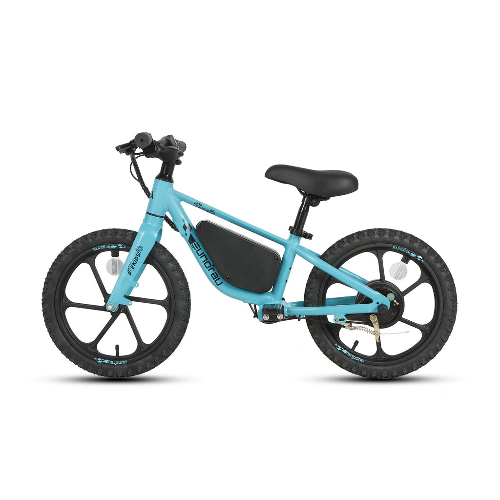EKIDS16 1.0 - Ridoza
