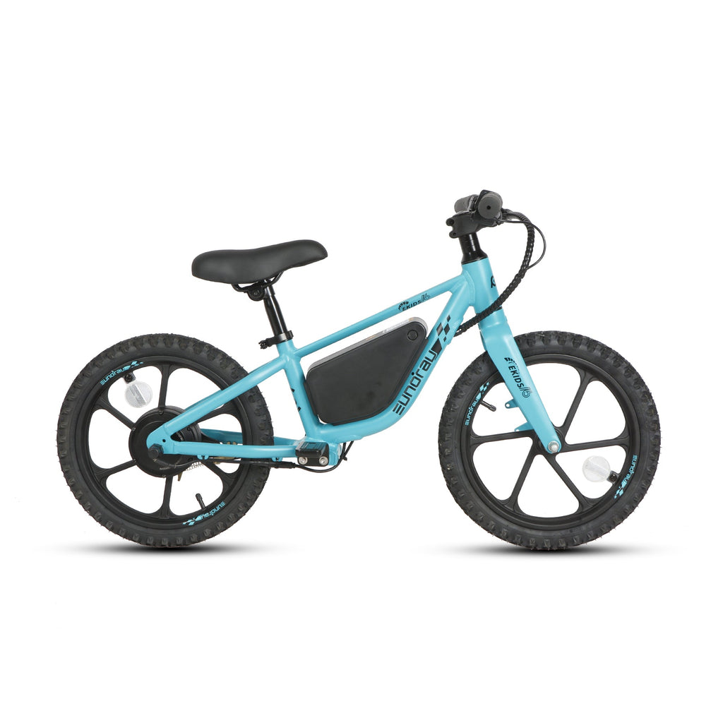 EKIDS16 1.0 - Ridoza