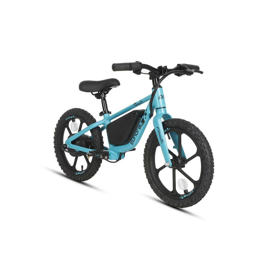 EKIDS16 1.0 - Ridoza