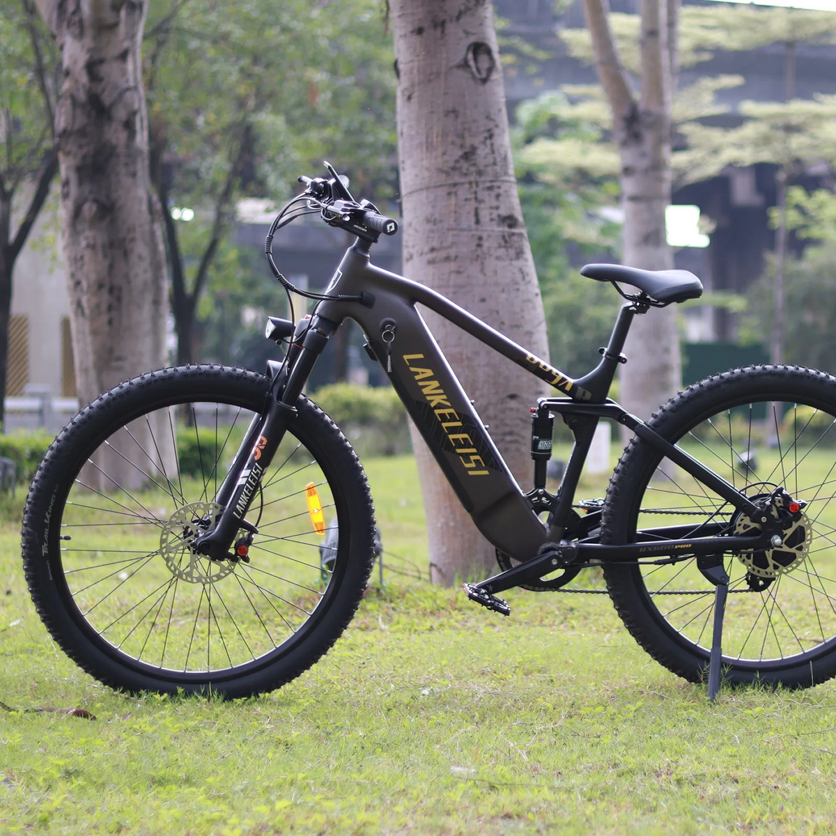 LANKELEISI RX600PRO - Ridoza