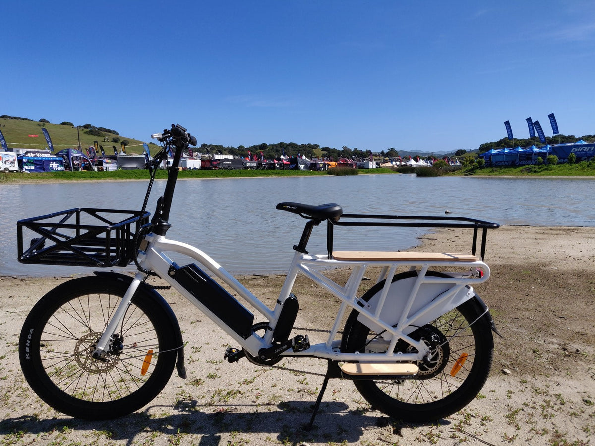 MAX-CARGO 2.0 - Ridoza