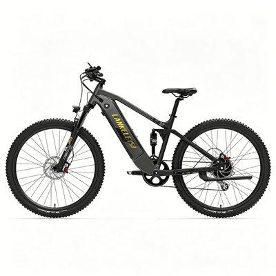 LANKELEISI RX600PRO
