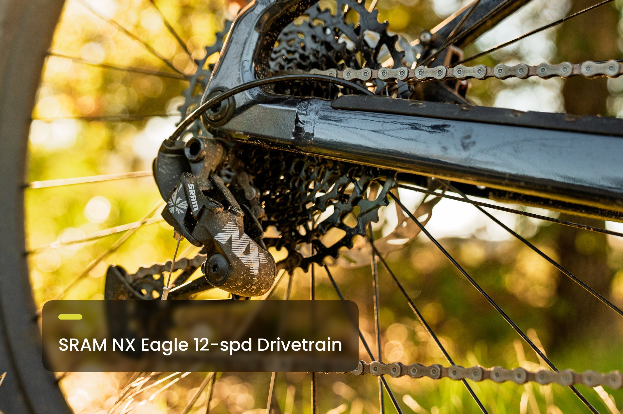 Aventon Ramblas ADV Electric Hardtail Mountain Bike