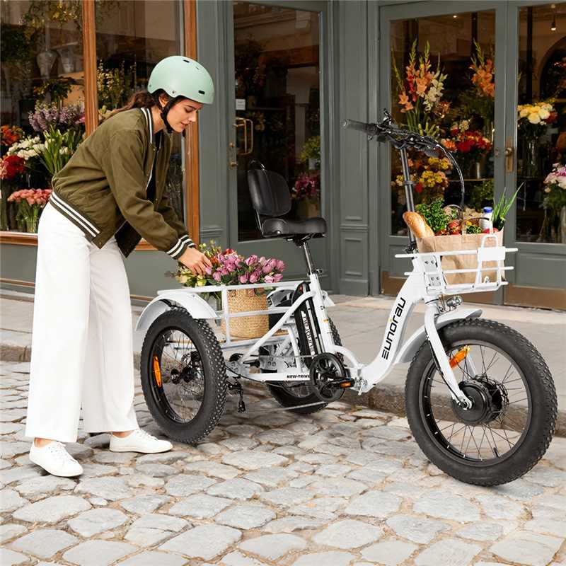 NEW-TRIKE 2.0 - Ridoza