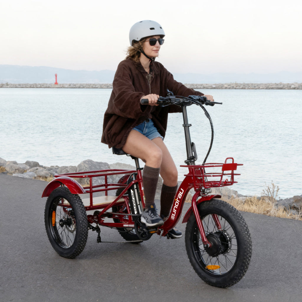 NEW-TRIKE 2.0 - Ridoza