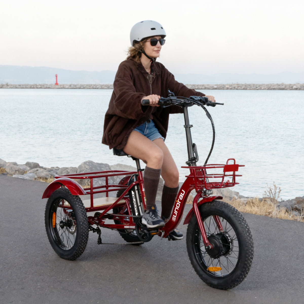 NEW-TRIKE 2.0 - Ridoza