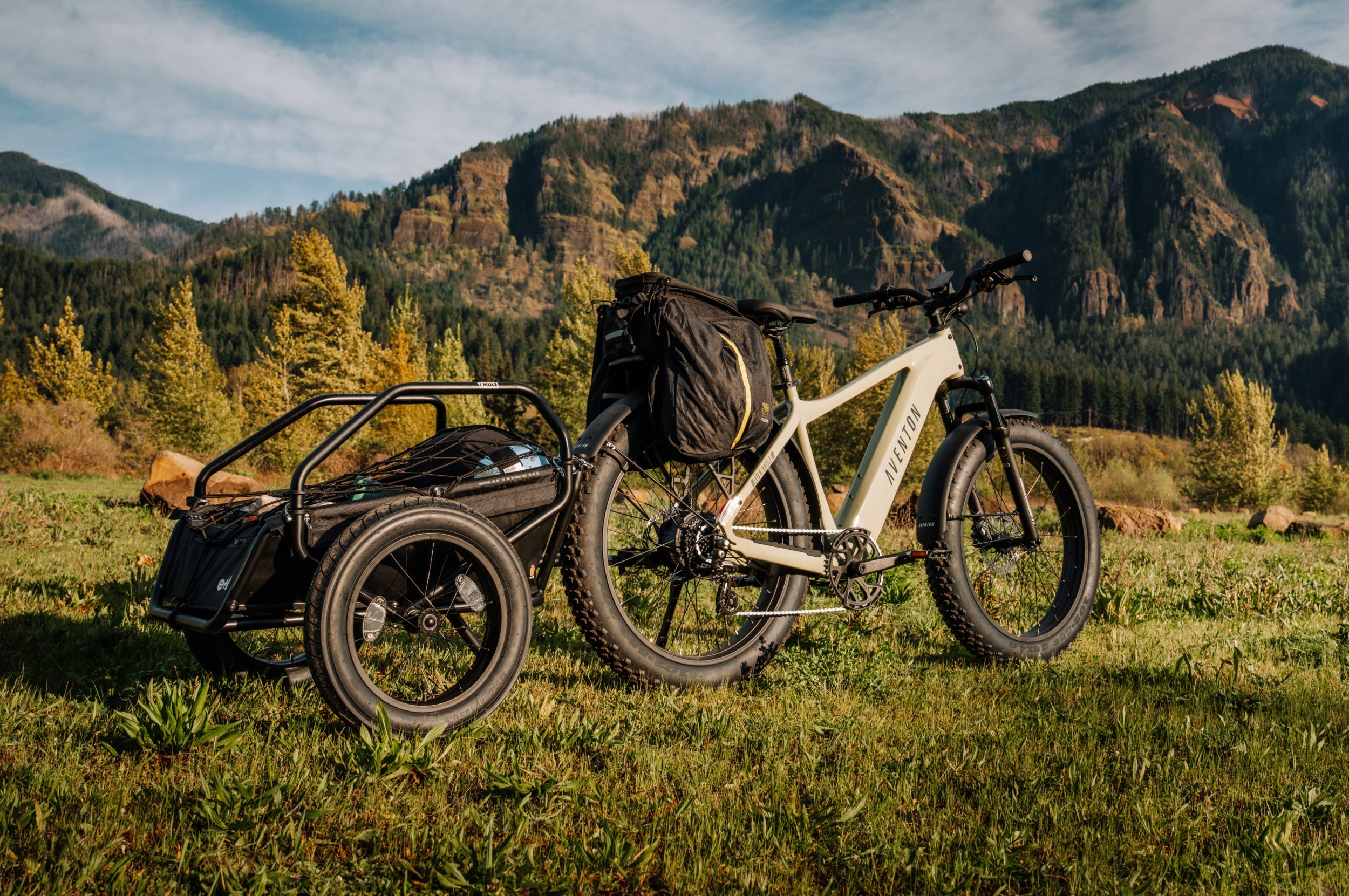 Aventon Aventure 3 Fat-Tire Electric Bike