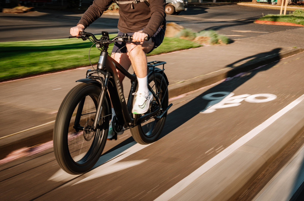 Aventon Aventure 3 Fat-Tire Electric Bike