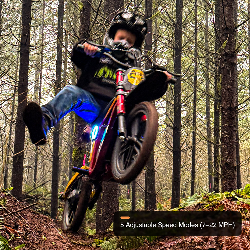Tuttio ARC-I Kids Electric Bike - Ridoza
